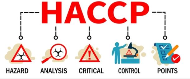 Système d’Analyse des Risques et de Contrôle des Points Critiques (HACCP)